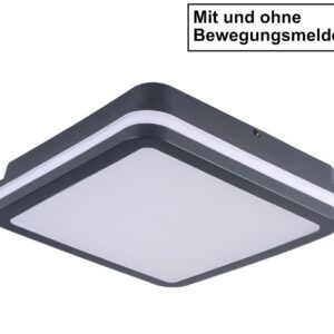 LED Decken- Wandleuchte Beno IP54 18Watt & 24Watt